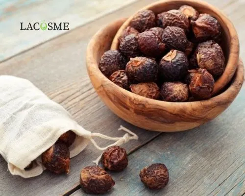 Chiết xuất bồ hòn là gì?