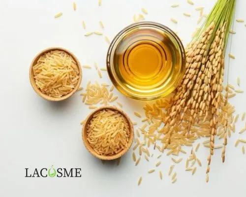 Chiết xuất mầm gạo trong mỹ phẩm là gì?