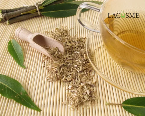 Gatuline Renew là gì? – Bản chất và nguồn gốc sinh học