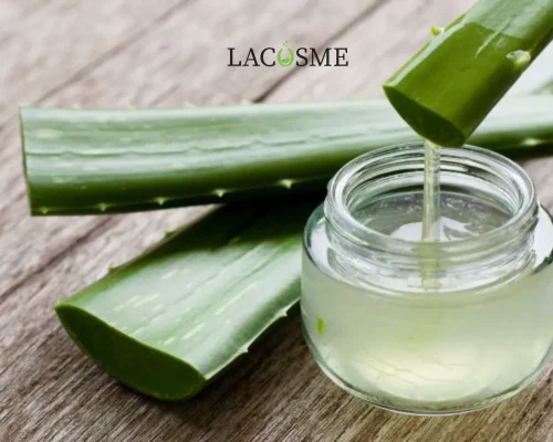 Cơ chế hoạt động của chiết xuất nha đam trên da