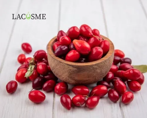 Chiết xuất lingonberry trong mỹ phẩm là gì?
