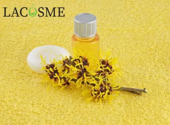 Chiết xuất cây phỉ là gì?