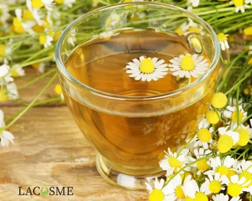 Chiết xuất cúc La Mã trong mỹ phẩm là gì?